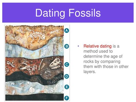 relative dating fossils activity